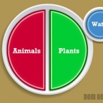 paleo_summary