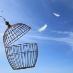 Freedom concept. Escaping from the cage