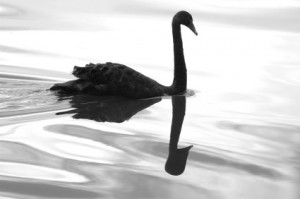 black_swan