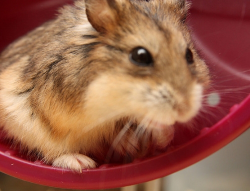 What to Do When You Don’t Have Time to Plan